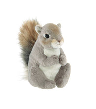 Load image into Gallery viewer, Lil' Peanut the Squirrel - Simply Susan’s