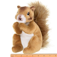 Load image into Gallery viewer, Copper Plush Squirrel