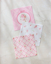 Load image into Gallery viewer, Granny's Embroidery Dishcloth Set - Simply Susan’s
