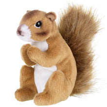 Load image into Gallery viewer, Copper Plush Squirrel
