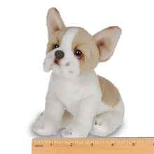 Load image into Gallery viewer, Lil&#39; Frenchie the French Bulldog
