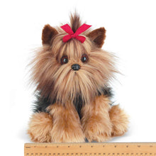 Load image into Gallery viewer, Chewie the Yorkie

