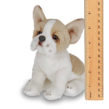 Load image into Gallery viewer, Lil&#39; Frenchie the French Bulldog
