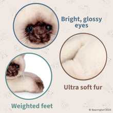 Load image into Gallery viewer, Lil&#39; Cleo the Siamese Cat
