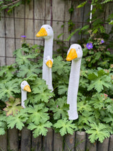 Load image into Gallery viewer, Geese
