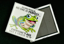 Load image into Gallery viewer, Novelty Frog Magnet – Funny Imperfection Quote Quirky Humor - Simply Susan’s
