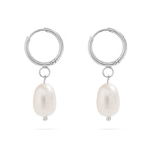 Load image into Gallery viewer, 18K Gold PVD Freshwater Pearl Huggie Earrings

