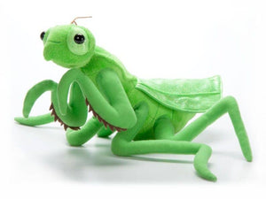 12" Wild Onez Praying Mantis