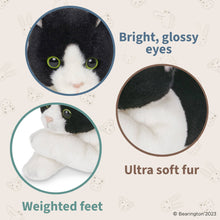 Load image into Gallery viewer, Lil&#39; Domino the Black &amp; White Cat
