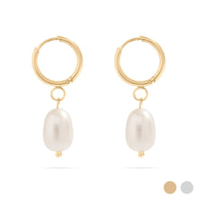 Load image into Gallery viewer, 18K Gold PVD Freshwater Pearl Huggie Earrings
