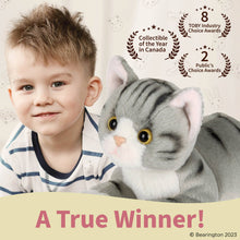 Load image into Gallery viewer, Lil&#39; Socks the Gray Cat
