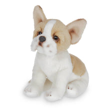 Load image into Gallery viewer, Lil&#39; Frenchie the French Bulldog
