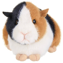 Load image into Gallery viewer, Scooter the plush guinea pig
