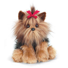 Load image into Gallery viewer, Chewie the Yorkie
