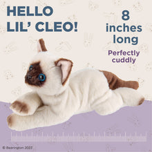 Load image into Gallery viewer, Lil&#39; Cleo the Siamese Cat
