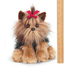 Load image into Gallery viewer, Chewie the Yorkie
