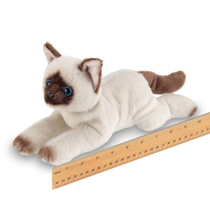 Lil' Cleo the Siamese Cat