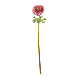 HOT PINK ZINNIA STEM
