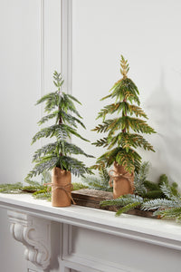 GLITTER TREES