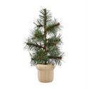 Natural Wood Mini Pine Tree