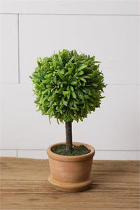 Topiary - Terra Cotta Pot, Sm