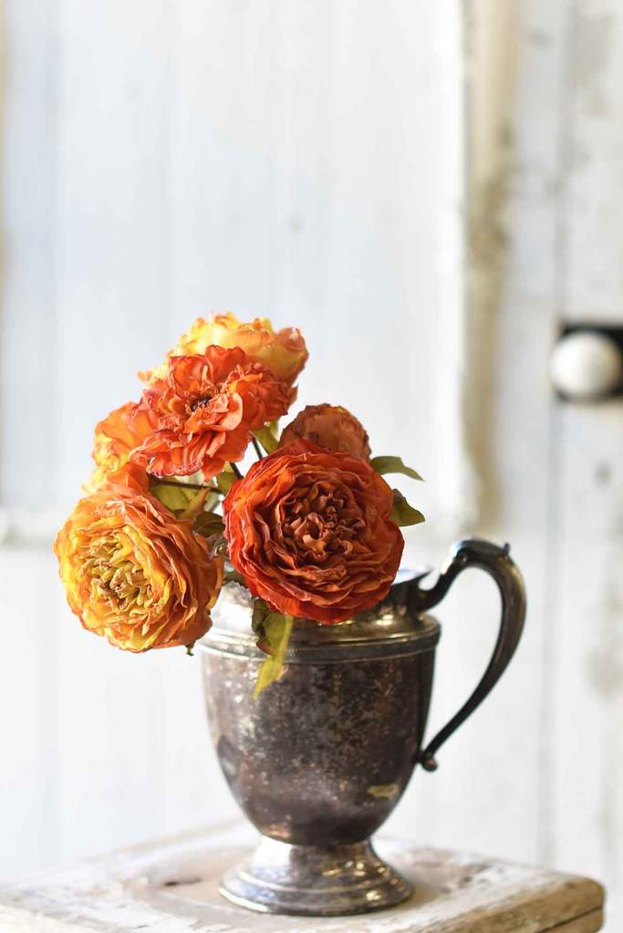 Sunshot Blooms Bundle