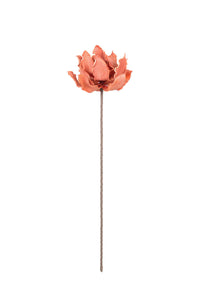 botanica #3142