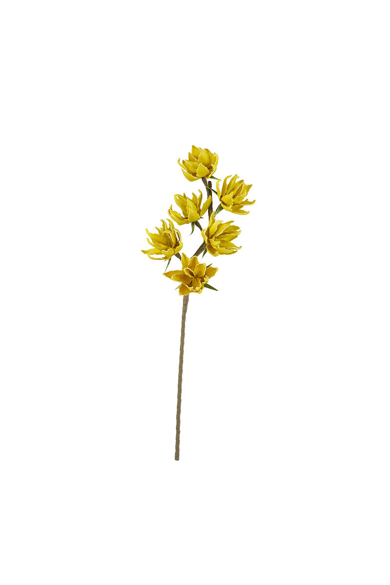 botanica #3219