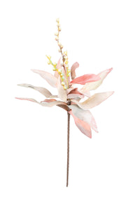 botanica #1304