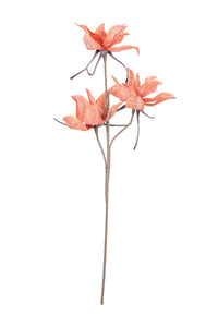botanica #2345