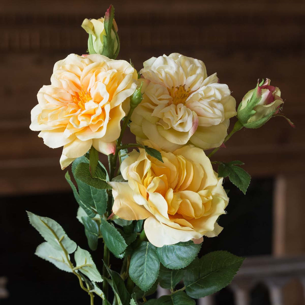 Gathered Yellow Garden Roses - Simply Susan’s