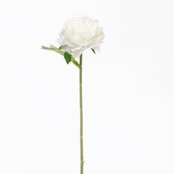 Peony Stem, White