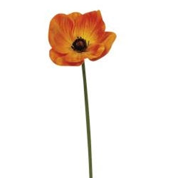 Foamy Poppy Stem, 11