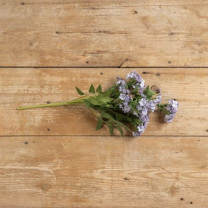 20" LAVENDER WILD FLOWER BUSH