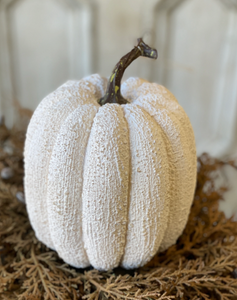 Full Moon Pumpkin | 8"