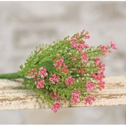 Pink Astilbe Bush, 10.5" - Simply Susan’s