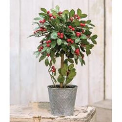 Potted Holly w/Berry Topiary, 18